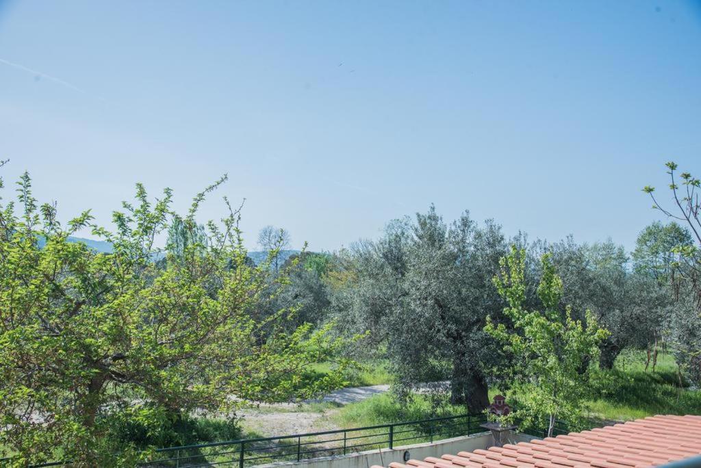 Diogenis Villa Vourvourou Extérieur photo