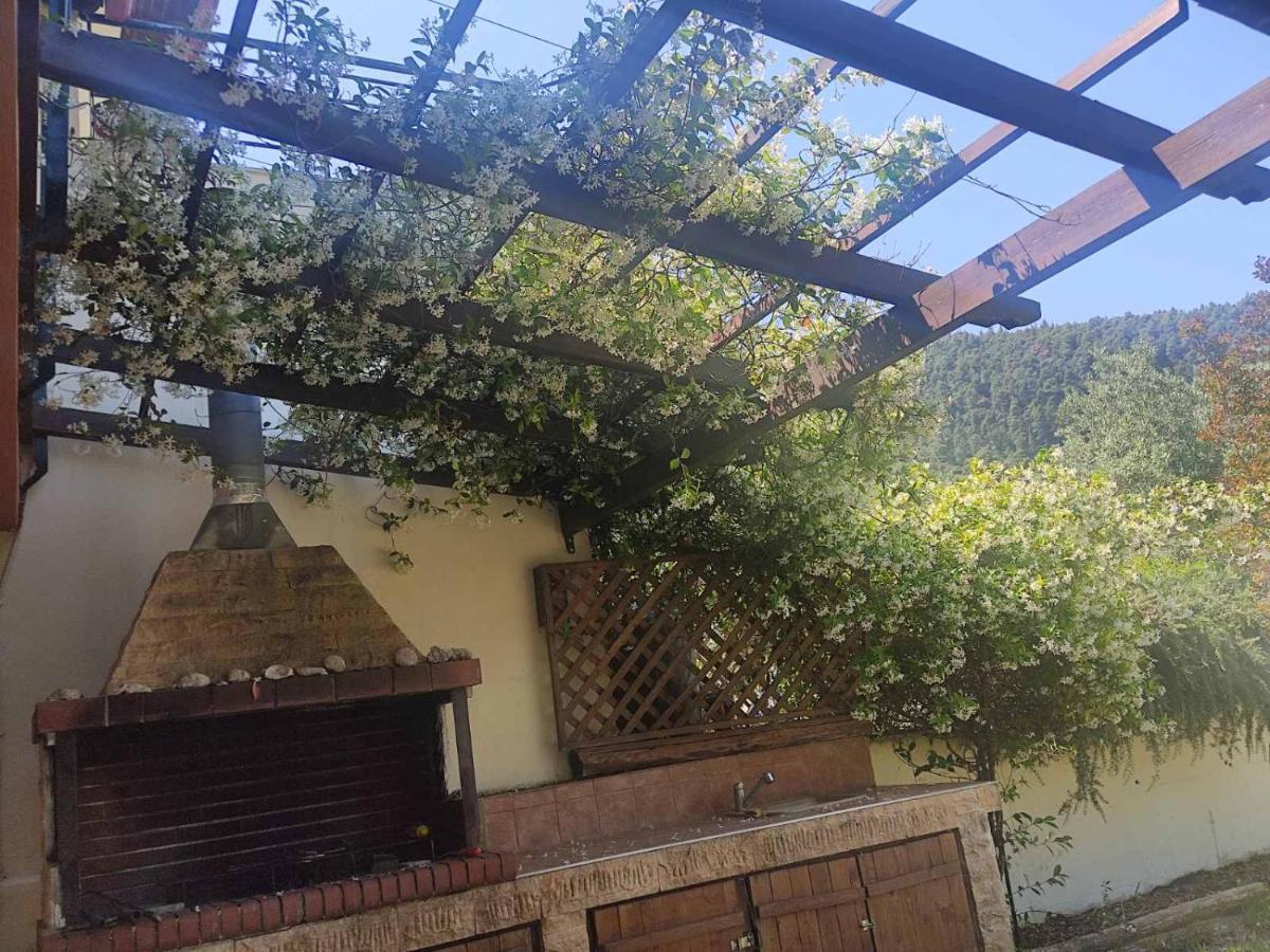 Diogenis Villa Vourvourou Extérieur photo